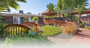 the courtyard and walking paths of Villa Las Palmas
